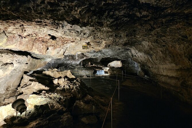 Jeju Premium Small Group UNESCO Day Tour - West Course - What the $100 Price Really Covers