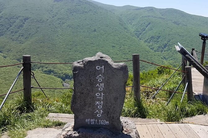 Jeju Private Car Charter Tour - Who will get the most from this Jeju day