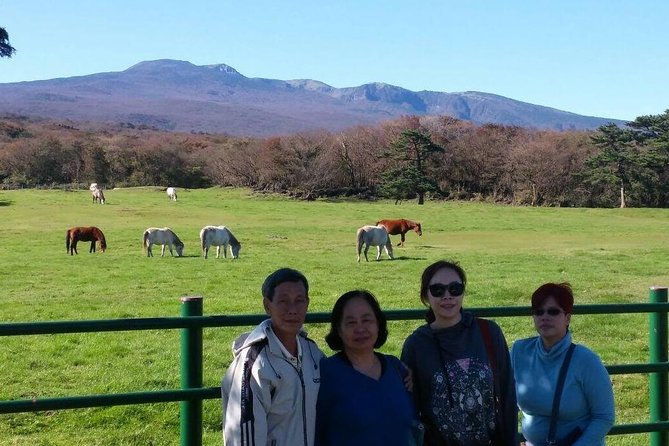 Jeju Private Full day tour of UNESCO Day Tour - Seongsan Ilchulbong, the day’s essential climb