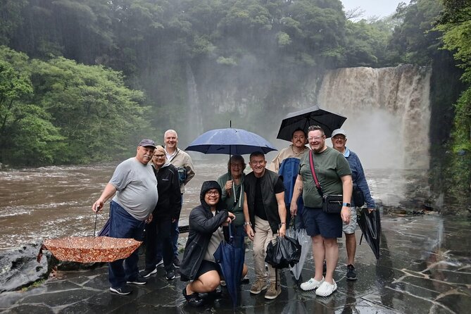 Jeju Private Taxi Tour with a Licensed English Guide-Driver - Day two: waterfalls, lava cliffs, tea, and the west coast
