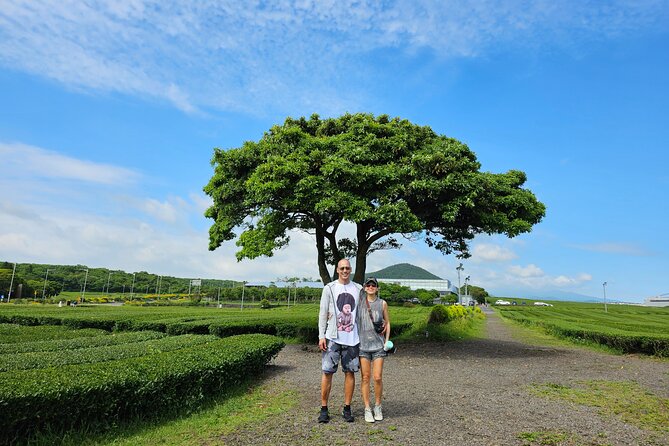 Jeju Private Tour Package-South of Jeju(Mt.Hallasan & Waterfalls) - Yongmeori Coast: the most weather-sensitive stop