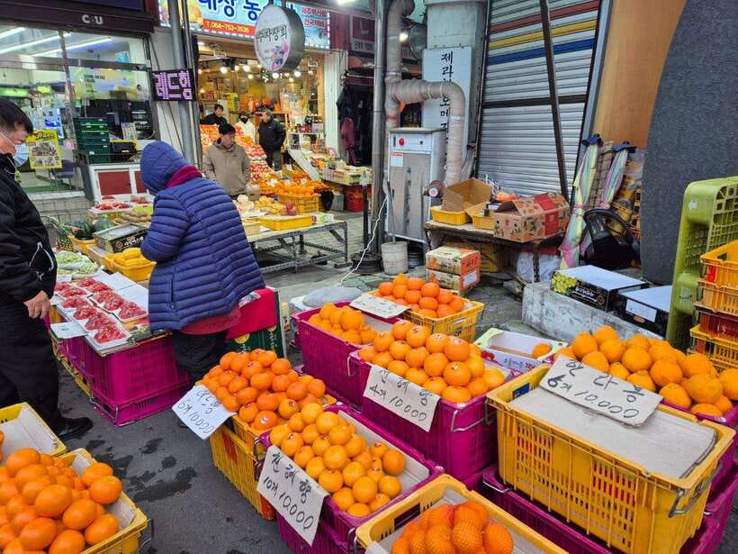 Jeju: Private Tour with an English Guide and a Vehicle - Is nine hours enough?