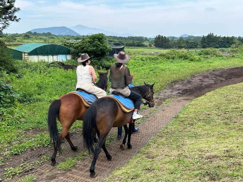 Jeju: Private Tour with an English Guide and a Vehicle - Who should book this Jeju tour?