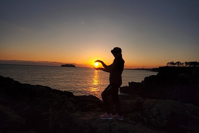 Jeju private UNESCO Site Day tour - East of Jeju Island - Hamdeok Beach and Saryeoni Forest add variety