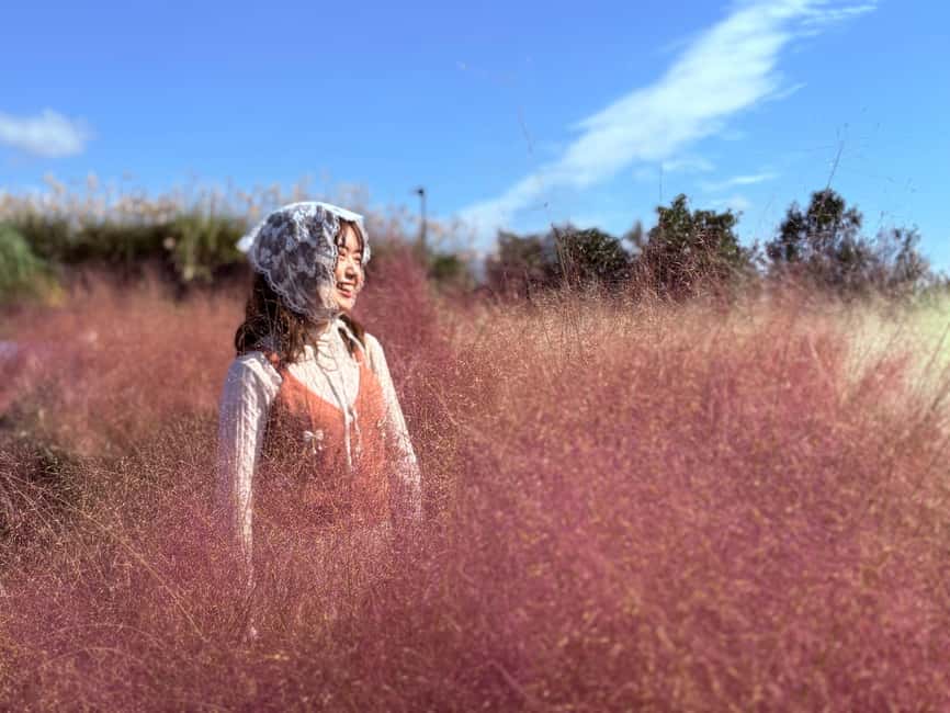 Jeju: Small Group Tour w/Pink Muhly & Tangerine Picking - Camellia Hill and its pink muhly photographs