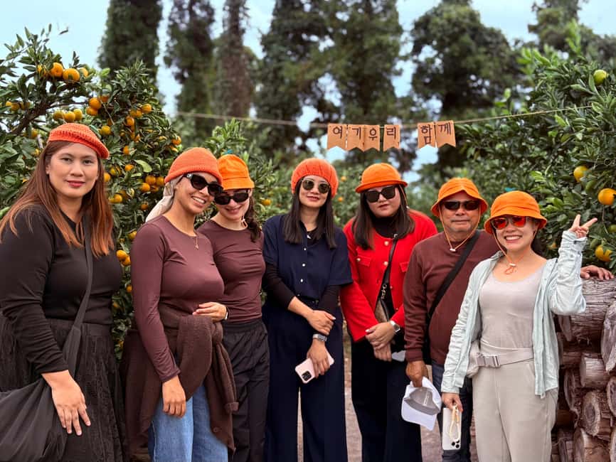 Jeju: Small Group Tour w/Pink Muhly & Tangerine Picking - O’Sulloc Tea Museum adds a slower hour