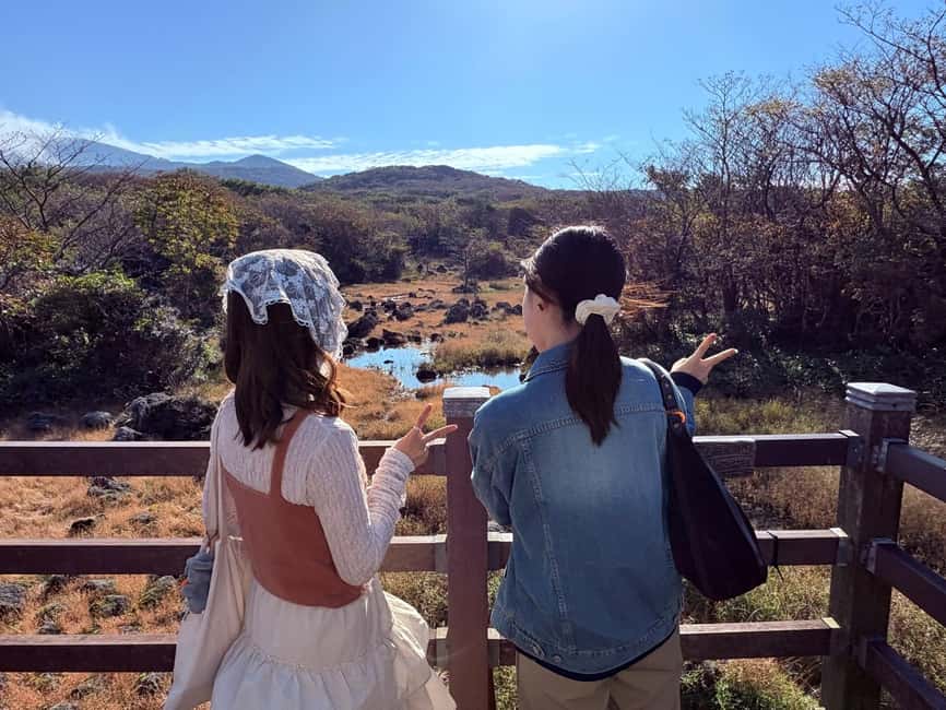 Jeju: Small Group Tour w/Pink Muhly & Tangerine Picking - Saebyeol Oreum closes with silver grass