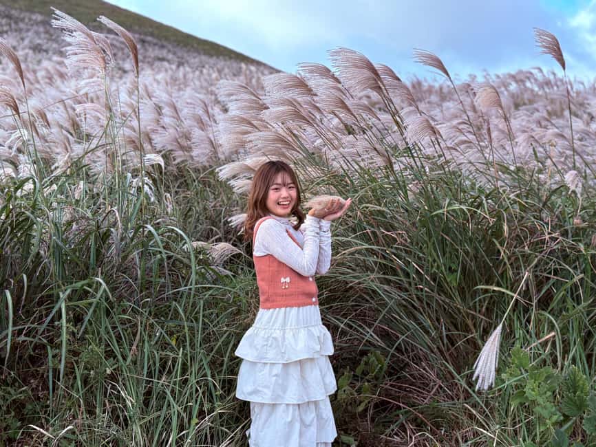 Jeju: Small Group Tour w/Pink Muhly & Tangerine Picking - Mt. Halla’s 1100 Altitude Wetland starts the day