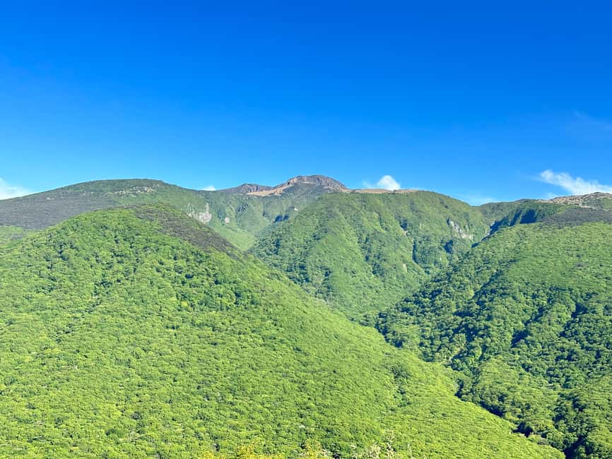 Jeju South: Small Group Healing Tour w/Mt.Halla & Olle Trail - How June shapes the day