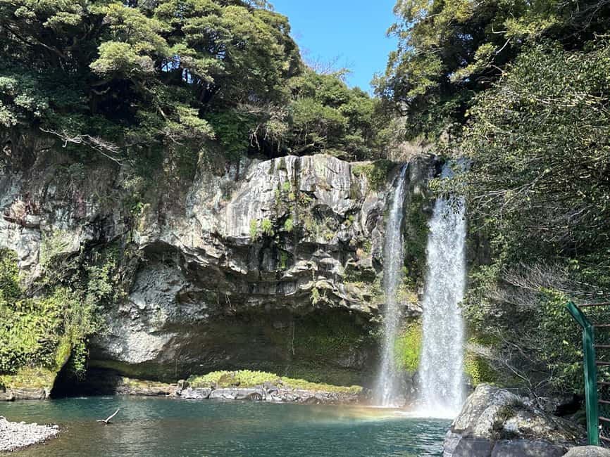 Jeju South: Small Group Healing Tour w/Mt.Halla & Olle Trail - Lunch with room for local recommendations