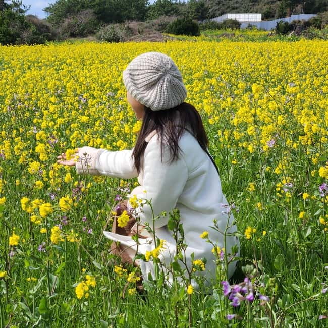 Jeju: Southern Top UNESCO Spots Bus Tour - O’sulloc makes a sweet final sightseeing stop