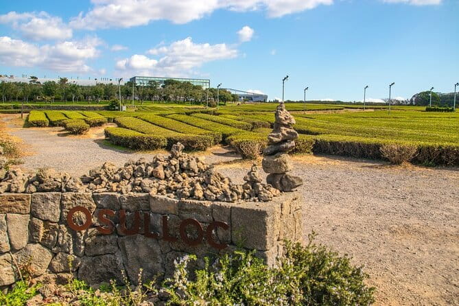 Jeju Southern UNESCO Full Day Tour with Mt.Halla - Hallasan National Park and the 1100 Altitude Wetland