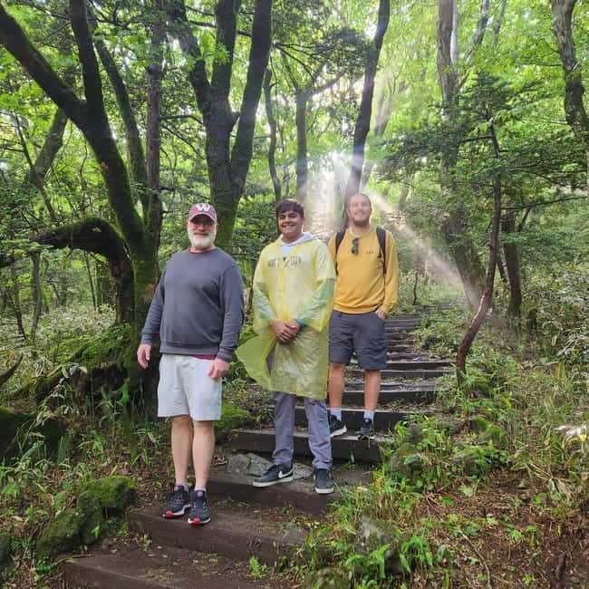 Jeju: Southern UNESCO Geopark Day Tour - Pickup, drop-off, and the real value of $55