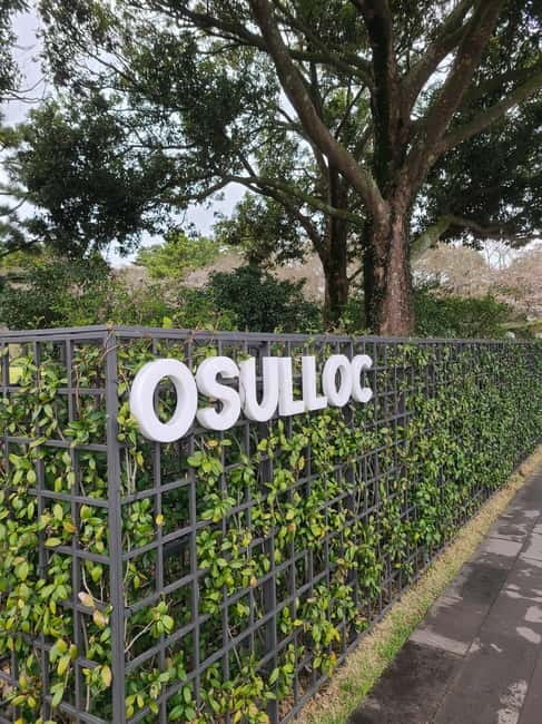 Jeju: Southern UNESCO Geopark Day Tour - O’sulloc closes the day with tea fields
