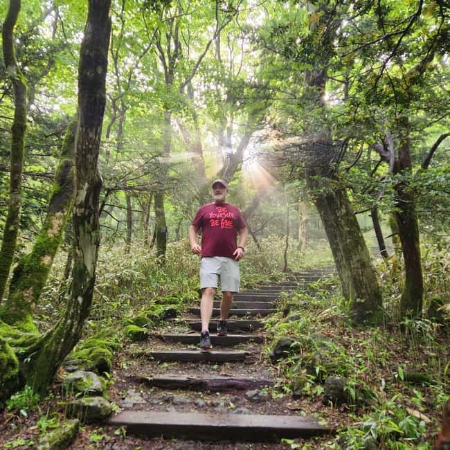 Jeju: Southern UNESCO Geopark Day Tour - Guides make the long day easier