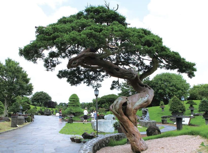 Jeju: Spirited Garden Entry Ticket - Inscriptions that leave the meaning to you