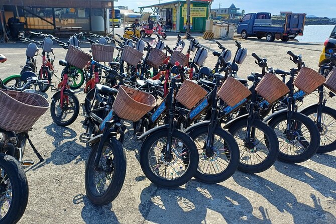 Jeju Udo Electric Bike and Seongsan Ilchulbong Private Tour - Seobin Baeksa and Udo’s Coral Sand