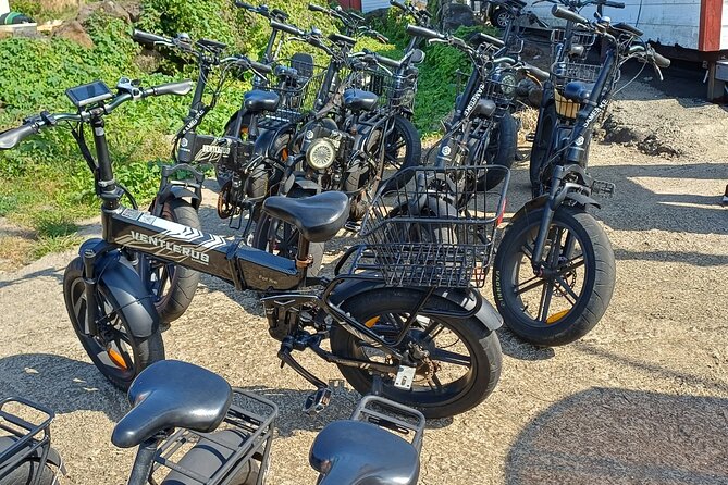 Jeju Udo Electric Bike and Seongsan Ilchulbong Private Tour - The Essential Udo Peanut Ice Cream Stop