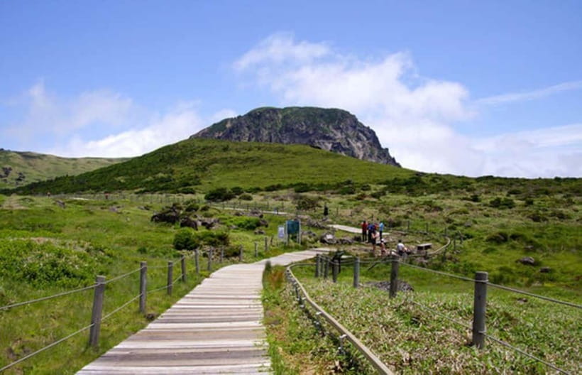 Jeju: UNESCO Day Tour for Cruise Guests - Five useful things to know before you book