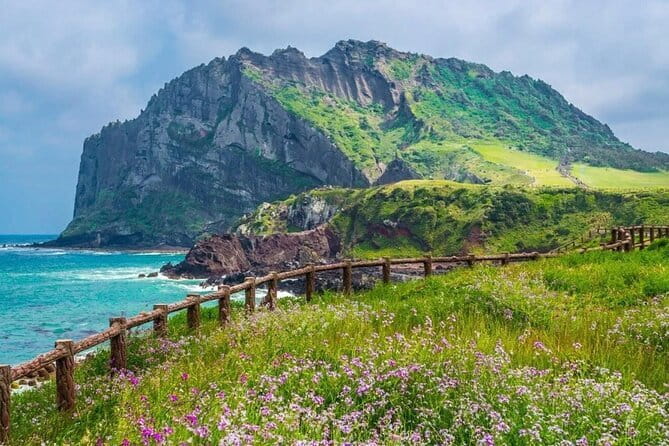 Jeju Unesco Eest course Package Private Van Guided Tour - Haenyeo Museum: Understanding Jeju’s Sea Women
