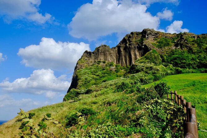 Jeju: UNESCO-Listed Southern Authentic Day Tour - Lunch and local shopping at Seogwipo Maeil Olle Market