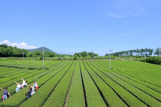 Jeju: UNESCO-Listed Southern Authentic Day Tour - Jeongbang Waterfall, where water meets the sea