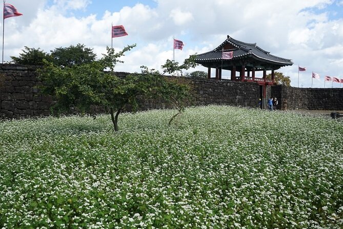 Jeju: UNESCO-Listed Southern Authentic Day Tour - Ending at Dongmun Market