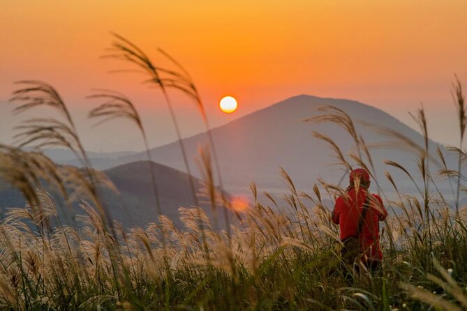 Jeju: UNESCO-Listed Southern Authentic Day Tour - The guide can shape the whole day