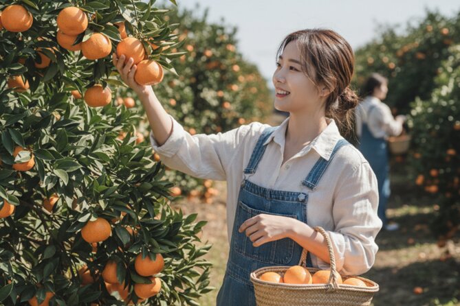 Jeju: UNESCO-Listed Southern Authentic Day Tour - O’sulloc Tea Museum and the green tea fields
