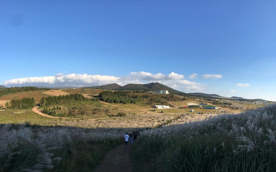 Jeju: West of Jeju Island Bus Tour from Seogwipo City - The final stop changes with weather and energy