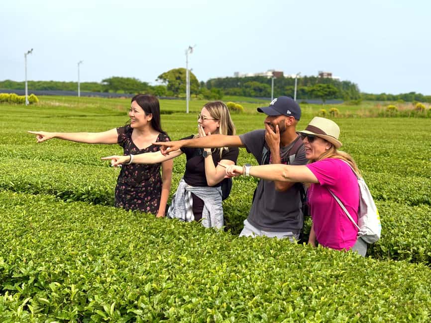 Jeju West: Small Group Healing Tour w/Caves & Dolphins - Hyeopjae Beach and Biyangdo Island