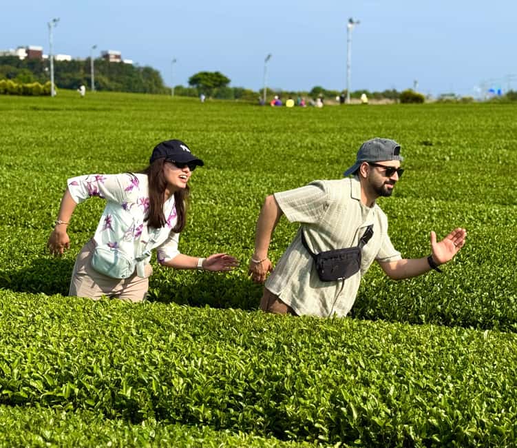 Jeju West: Small Group Healing Tour w/Caves & Dolphins - Hallim Park’s gardens and lava tubes