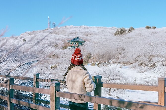 Jeju WEST&SOUTH One Day Tour with MT.halla & UNESCO - Hallasan’s 1100 Altitude Wetland and the winter question