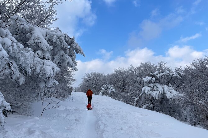 Jeju WEST&SOUTH One Day Tour with MT.halla & UNESCO - Jeongbang Waterfall and the coast at the end of the afternoon