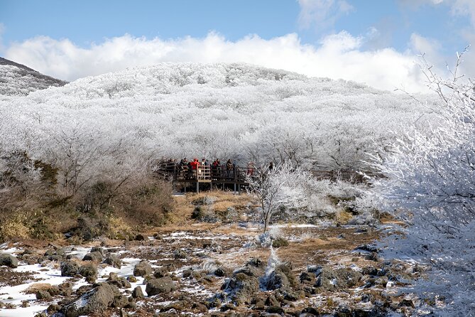 Jeju WEST&SOUTH One Day Tour with MT.halla & UNESCO - The guides are the strongest part of the experience