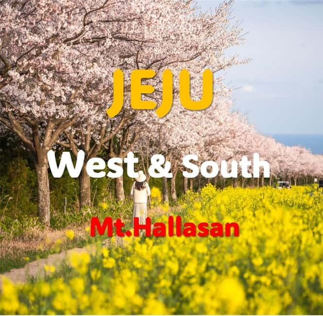 Jeju: Western and Southern Sightseeing Day Tour - O’sulloc Green Tea Fields and Museum