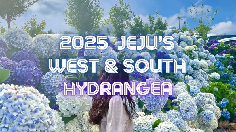 Jeju: Western & Southern Jeju Hydrangea Festival Tour - Hallim Park brings the hydrangeas into focus