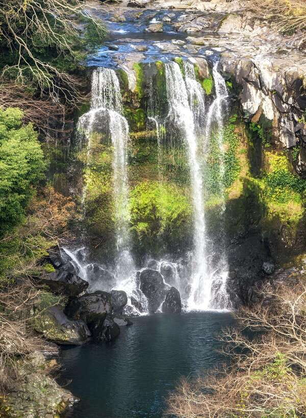 Jeju: Western & Southern Jeju Hydrangea Festival Tour - Cheonjeyeon Falls adds a quieter natural stop