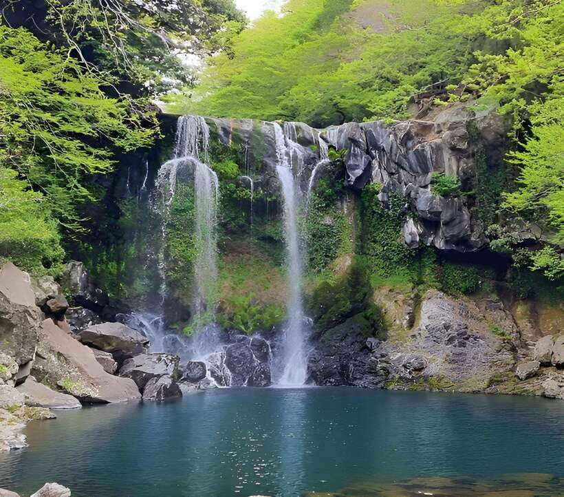 Jeju: Western & Southern Jeju Hydrangea Festival Tour - The guide makes the long day easier