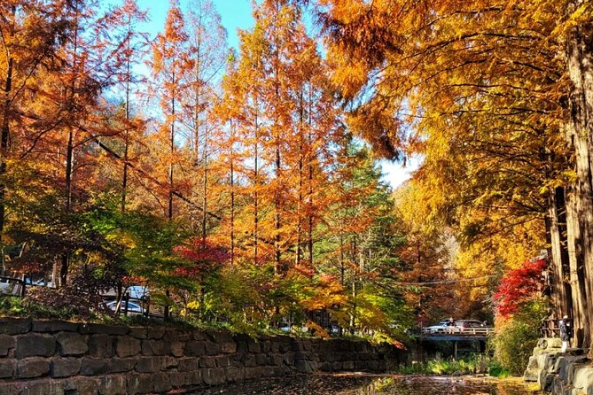 Jeonju Hanok Village Full-Day Tour: Jangtaesan Autumn Foliage - The four details that shape your day