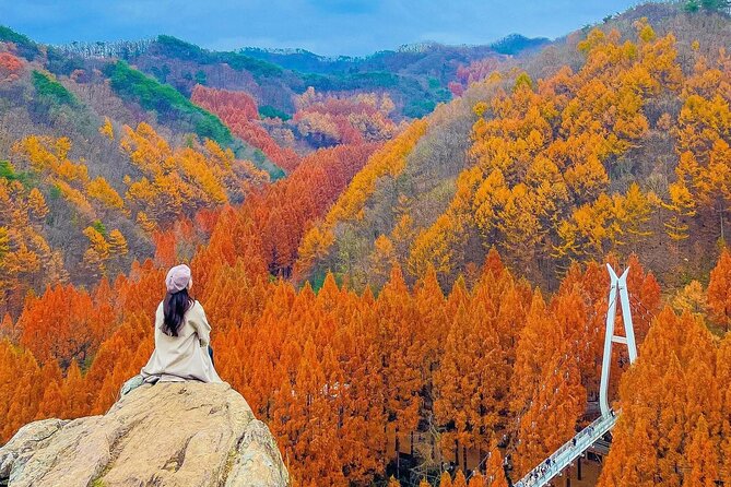 Jeonju Hanok Village Full-Day Tour: Jangtaesan Autumn Foliage - Why this makes sense as a Seoul day trip