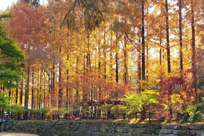 Jeonju Hanok Village Full-Day Tour: Jangtaesan Autumn Foliage - Jangtaesan’s two-hour autumn walk