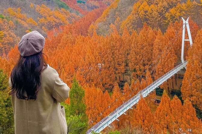 Jeonju Hanok Village Full-Day Tour: Jangtaesan Autumn Foliage - Guides make or break a long day
