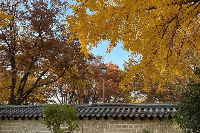 Jeonju Hanok Village Full-Day Tour: Jangtaesan Autumn Foliage - Who should book this outing?