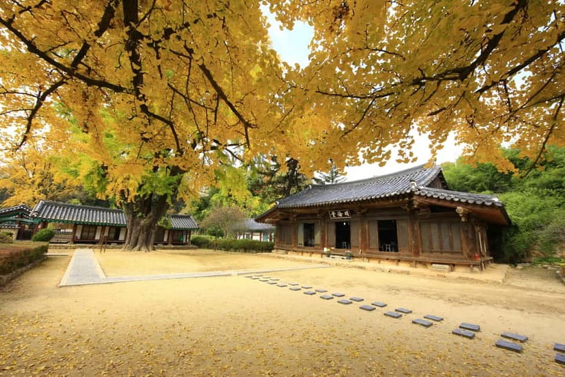 Jeonju Hanok Village Slow Walking Tour - Who will enjoy this tour most