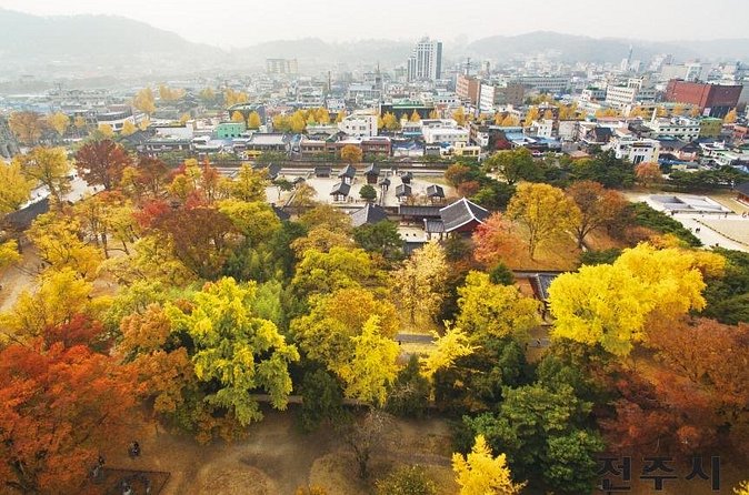 Jeonju Hanok Village Tour - Local food advice adds value to the free time
