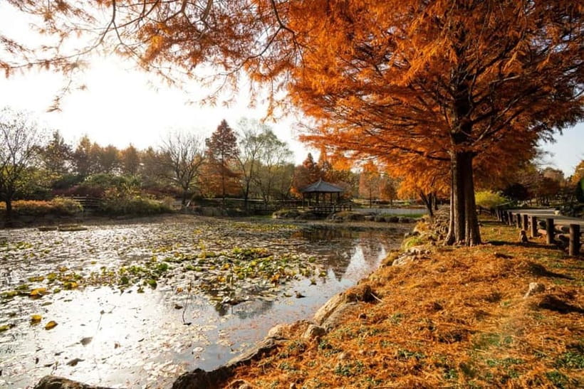 Jeonju: Private Taxi Tour Car Charter - Parks, Temples, and Longer Drives