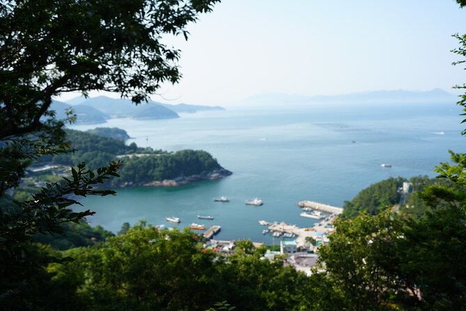 Jeonju & Yeosu: 4-Day Foodie & Artist Journey - Day One: KTX South to Yeosu and a Seafood-Filled Welcome