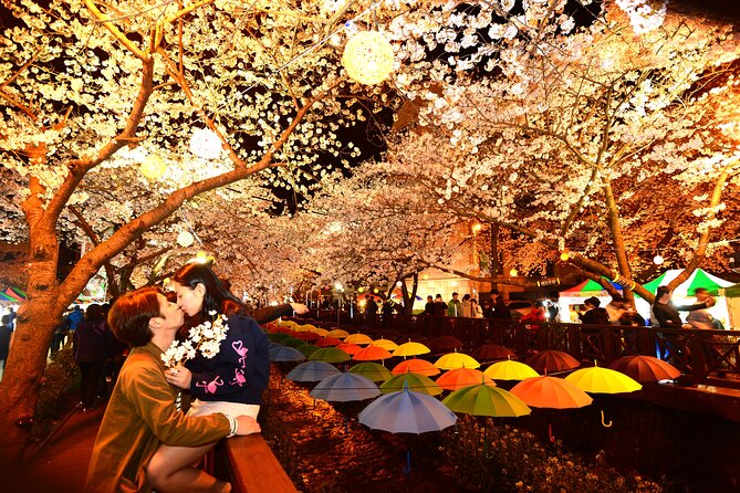 Jinhae Cherry Blossom Day trip from Busan - A Spring Adventure! - The main drawback: a long day at a popular time