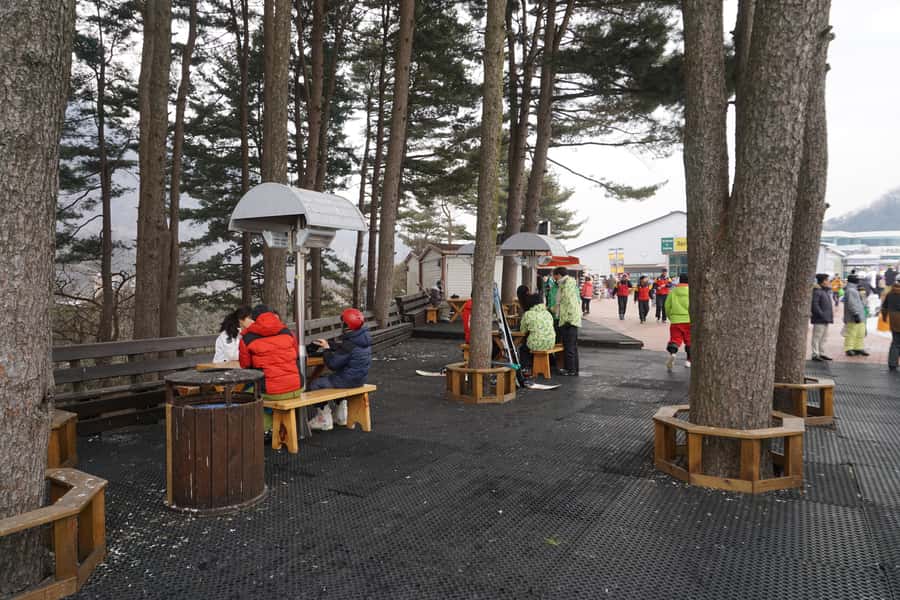 Jisan Forest Resort: Ski Full-Day Tour or Shuttle from Seoul - A closer look at the day’s timing